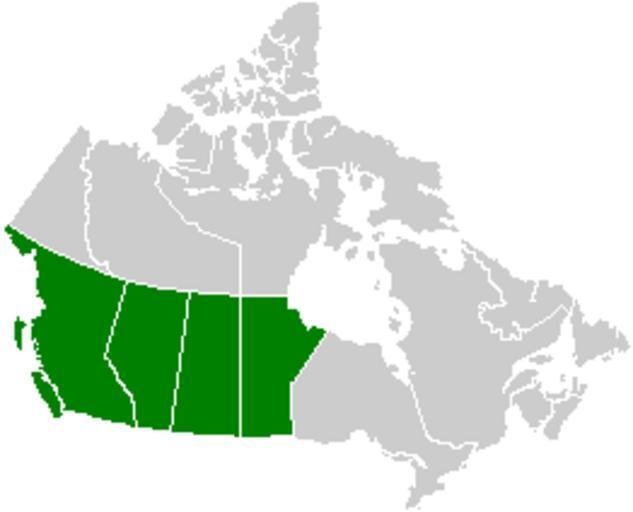 Canada WEXIT, how likely is it?