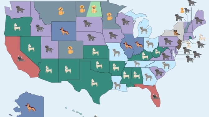 What do you think about most popular dogs in the US?