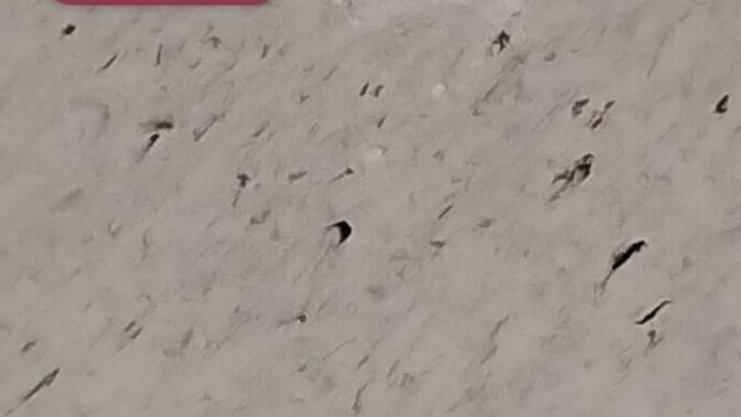 Should I move out or stay? ( Read description) ?