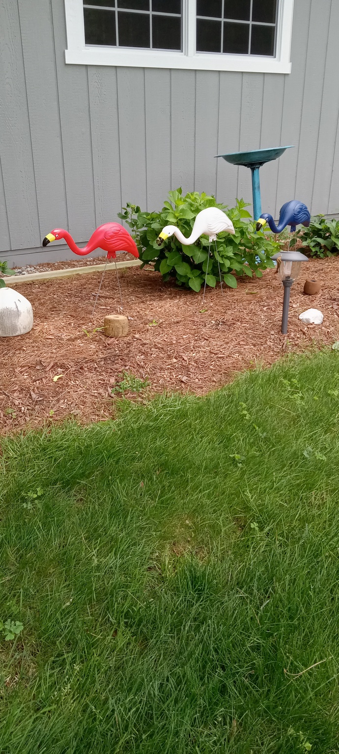 Ever have problems with neighbors complaining about your yard?
