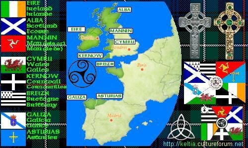 What do you think of the celtic nation flag?