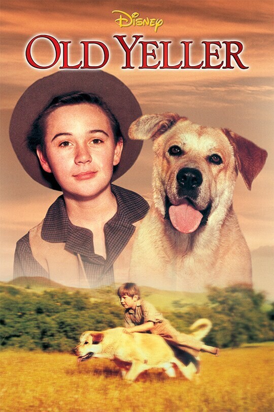 Do you know how hard it is to put down your best friend?