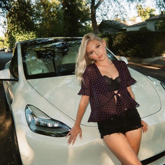 Did you know that the majority of electric car owners or Democrats?