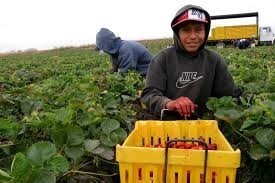 Dont you agree that Americans would starve if famers had to pay a living wage to immigrants?