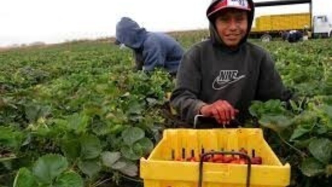 Don't you agree that Americans would starve if famers had to pay a living wage to immigrants?