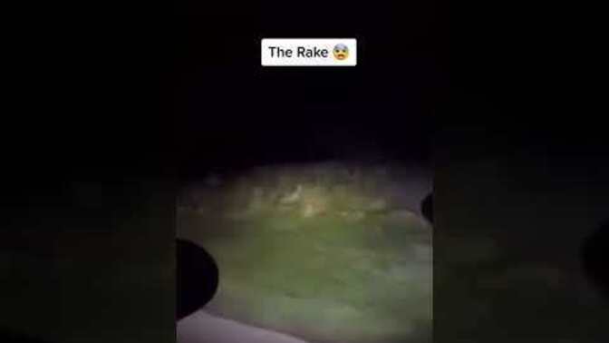 What do you see in this clip?