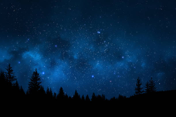Do you like to go stargazing?