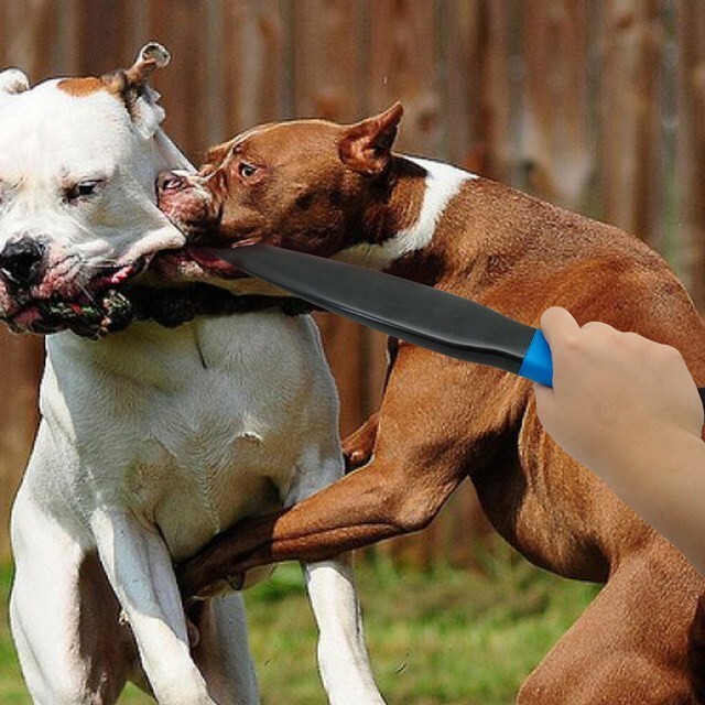 Senator John Kennedy is a superhero. Doesnt he remind you of an American Pitbull Terrier with a locking jaw?