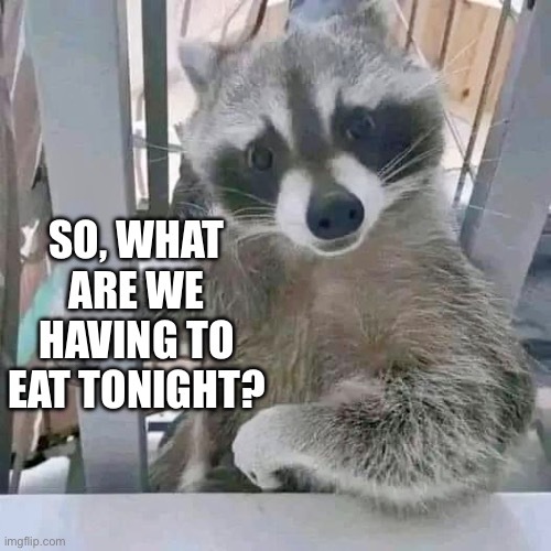 What did you have for dinner today?