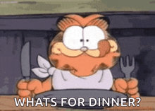 What did you have for dinner today?