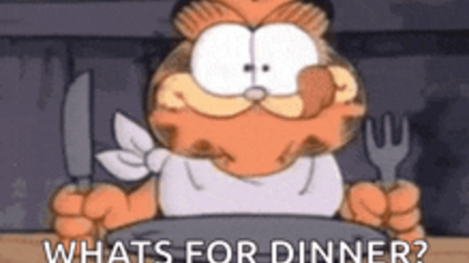 What did you have for dinner today?