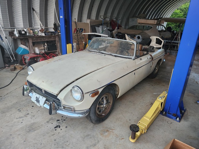 What color should I paint my project car?