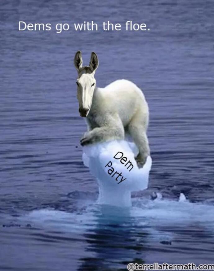 Is this a fair depiction of the Democrats?