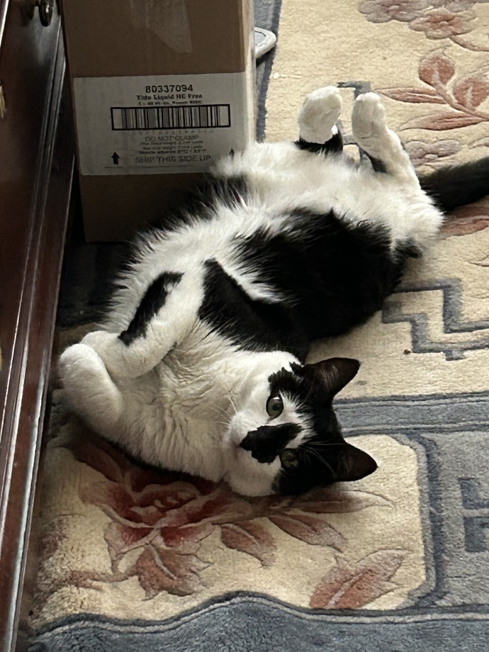 Can you post a sweet picture of your pet, his or her name, and the reason behind their name?