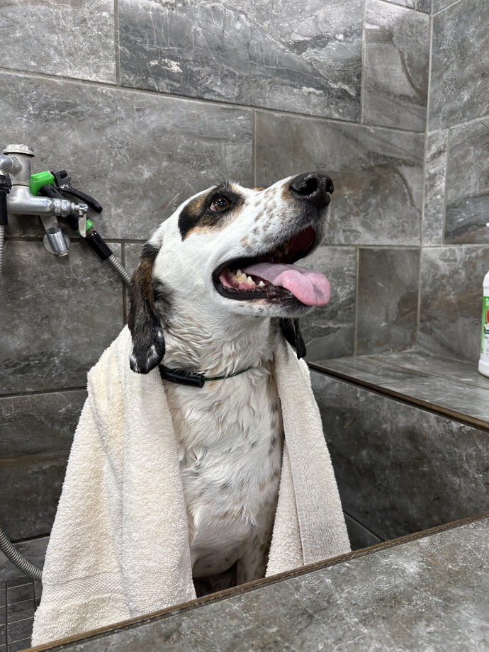 Can you post a sweet picture of your pet, his or her name, and the reason behind their name?