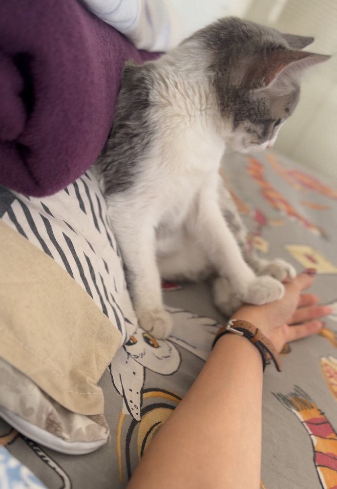 Can you post a sweet picture of your pet, his or her name, and the reason behind their name?