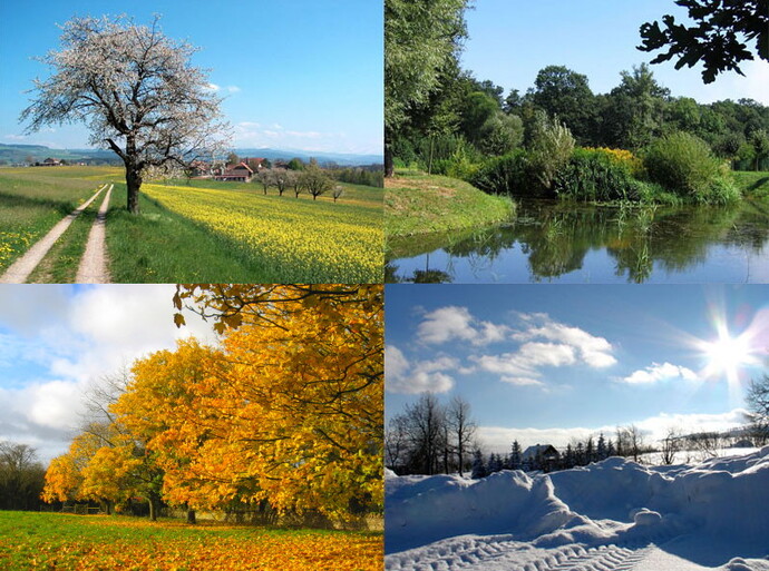 Whats your favourite season?