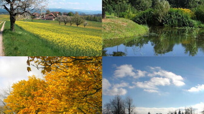 What's your favourite season?