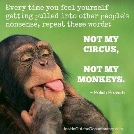 Will the Democrats ever just take their monkeys and go home?