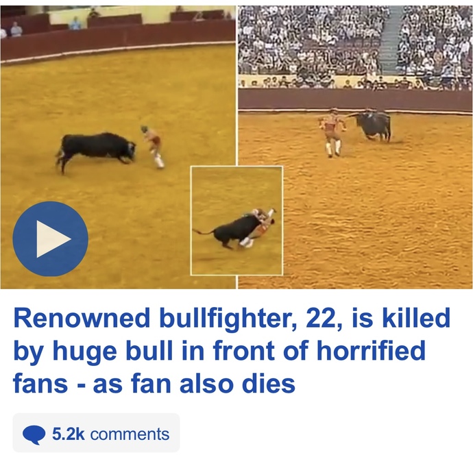 Do you believe riding animals for human entertainment is animal cruelty?