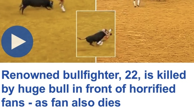 Do you believe riding animals for human entertainment is animal cruelty?