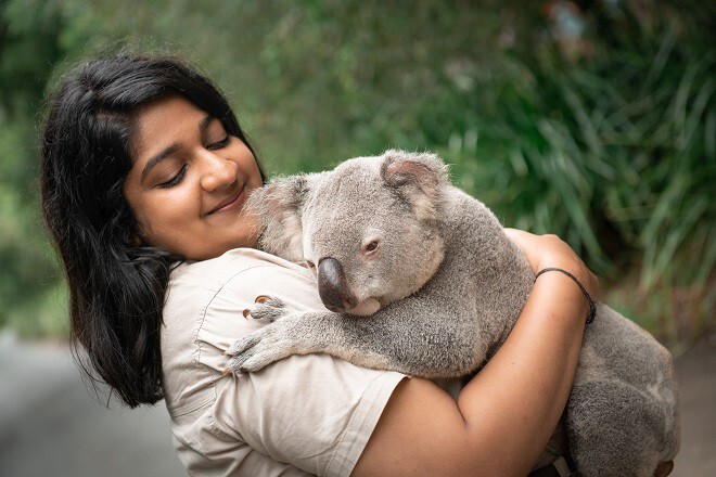 Would you rather hug a koala or a sloth?