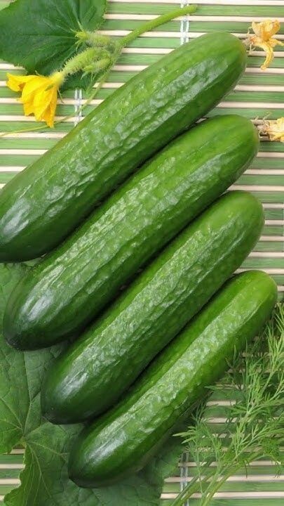 Which one would you eat if you had it now?