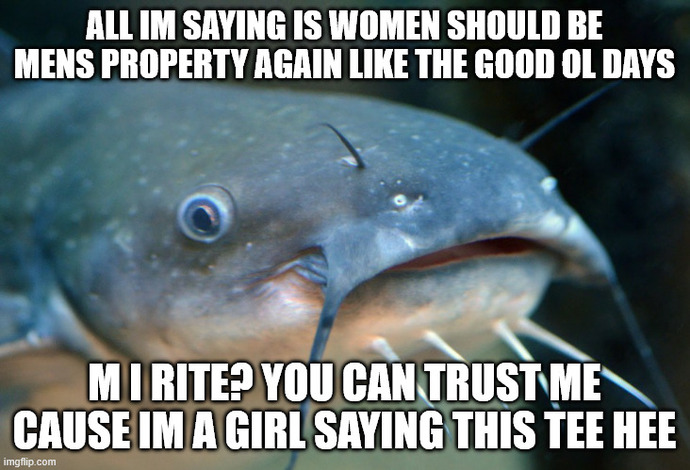When you see a pink account posting a question declaring women shouldnt vote or women arent as logical as men what are you thinking about?