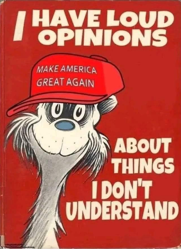 When you hear the phrase MAGA what is the first thing that comes to your mind?