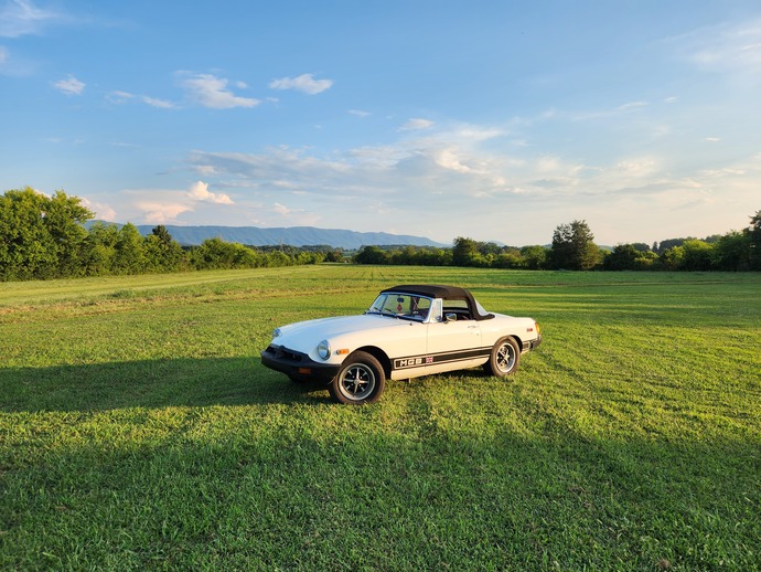 My 1978 daily