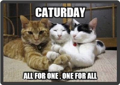 What's your favourite Day?