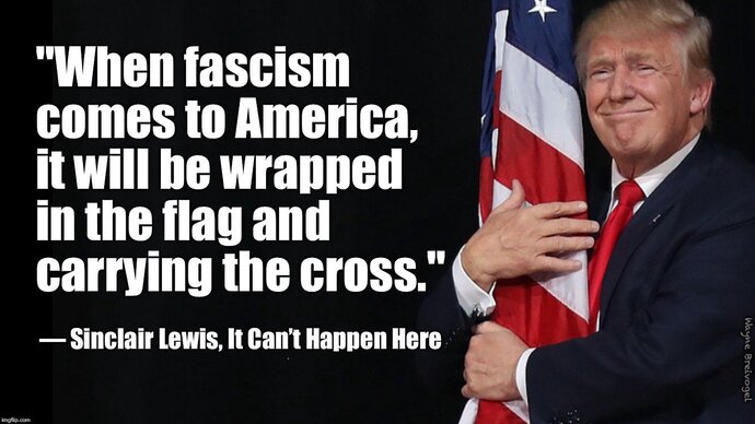 Why do leftists call you a ‘flag shagger’ for loving your own flag, but wave dozens of flags — even from countries that hate them?