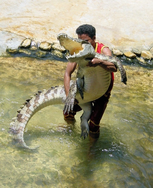 The judge got shot down in flames. Alligator Alcatraz is right on schedule. Isn’t this great news?