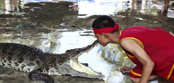 The judge got shot down in flames. Alligator Alcatraz is right on schedule. Isn’t this great news?