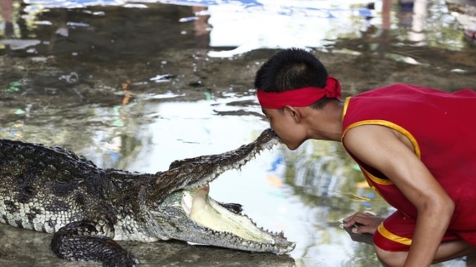The judge got shot down in flames. Alligator Alcatraz is right on schedule. Isn’t this great news?
