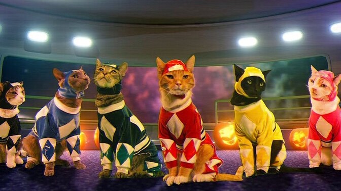 What would be a good name for this cute power rangers team the name has to do with cats?