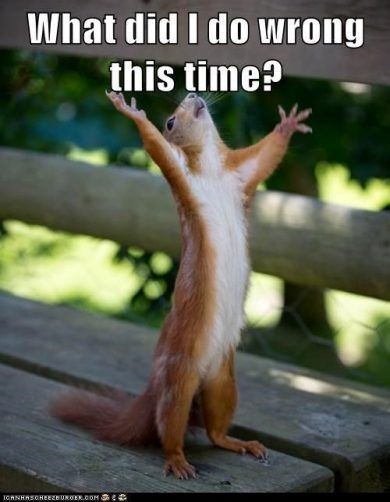 Did you ever Ask Yourself-----What is it This Time, That I did wrong?