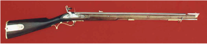 which of these firearms do you think has the most interesting design and appearance?