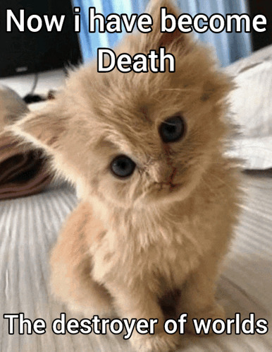 What will you do when the aliens finally arrive?