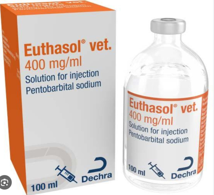 What are your thoughts on euthanasia?