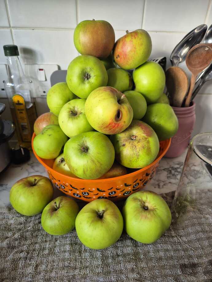 What do you think I should make with the apples I picked from my apple trees in my garden?
