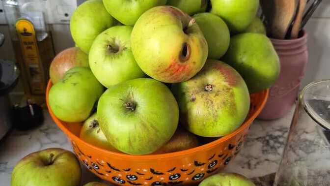 What do you think I should make with the apples I picked from my apple trees in my garden?