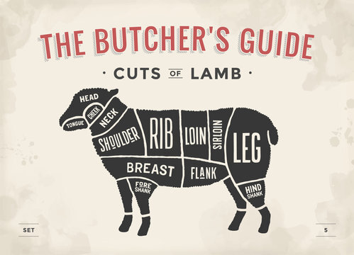 Which meat is your favorite ?