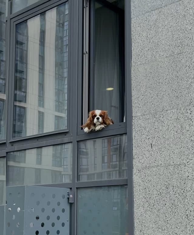 Long distance love