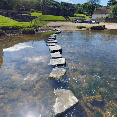 Do you like using stepping stones to cross rivers?