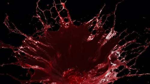 What is your opinion about people rejoicing about Charlie Kirks death?