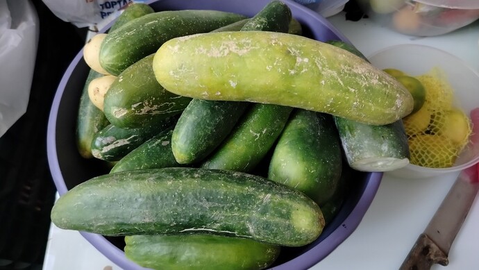 I picked cucumbers from the garden. Should I give them to you? Would you like to eat them?