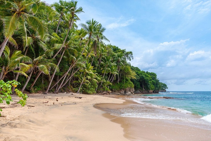 Say We’re On A Deserted Island For A Month…?