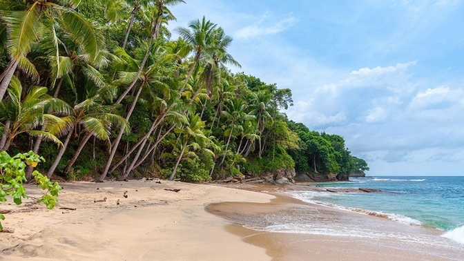 Say We’re On A Deserted Island For A Month…?