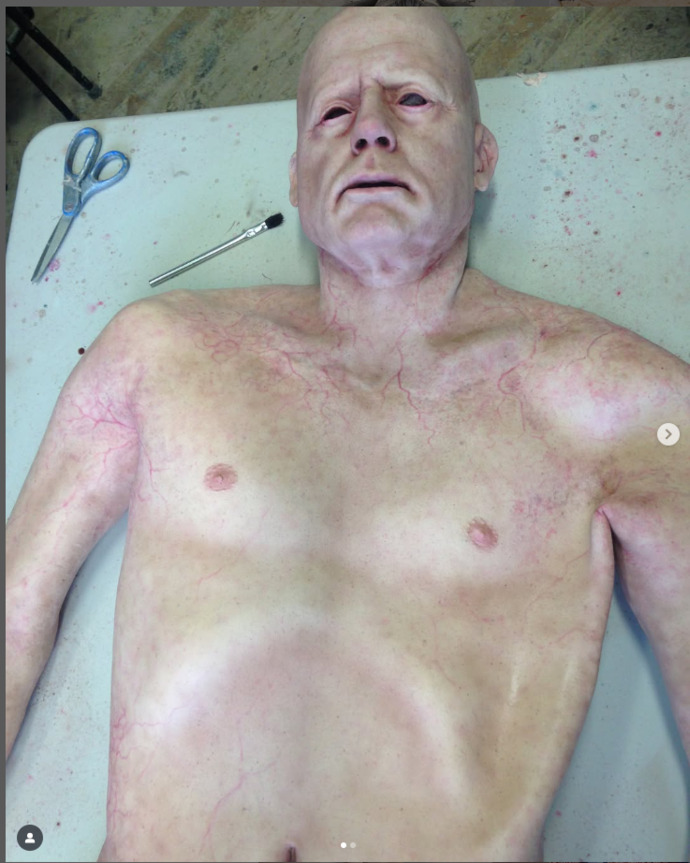 Former job - Bruce Willis body